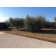 Properties for Sale_Villas_La Villa Bianca in Le Marche_11